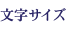 文字サイズ